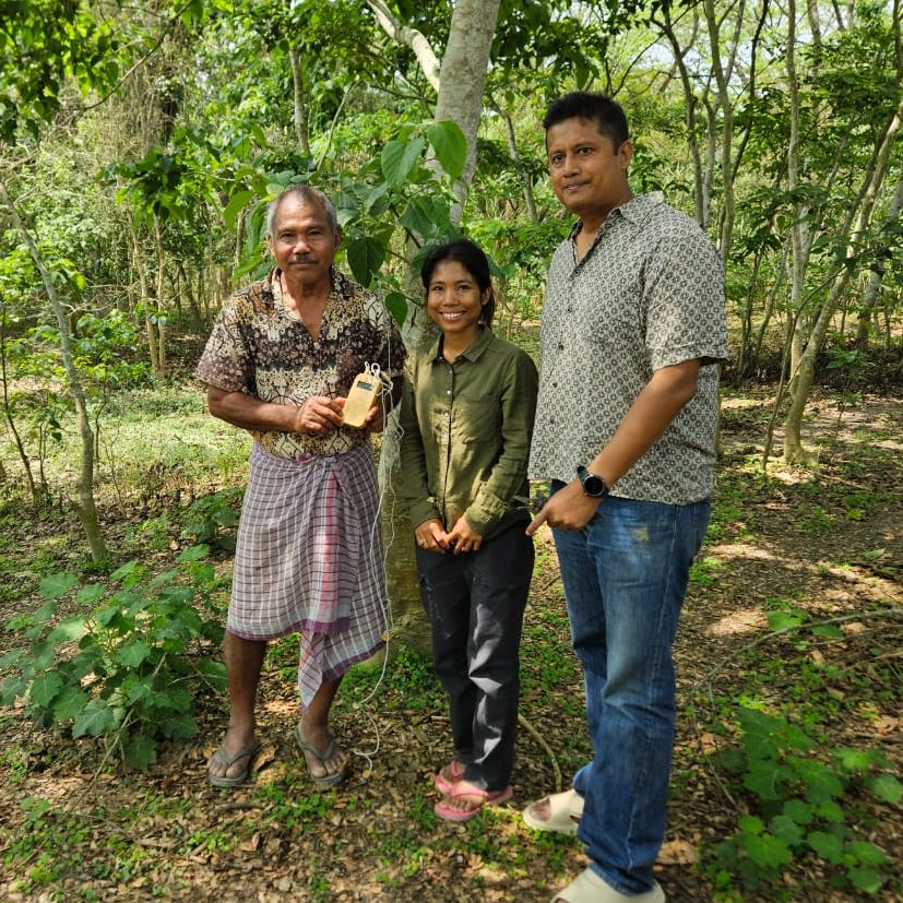 forest man on india with music of the plants