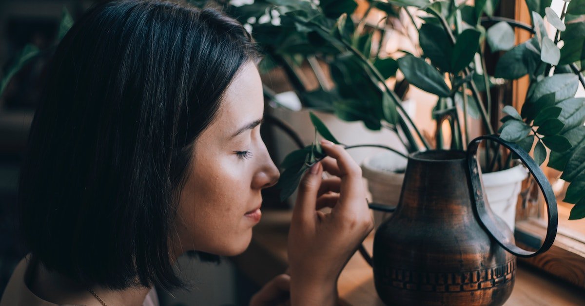 4 Verwendung von Pflanzen zur Steigerung Ihrer Energie