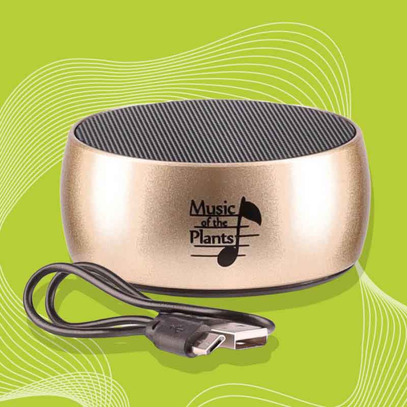 External speaker_gold