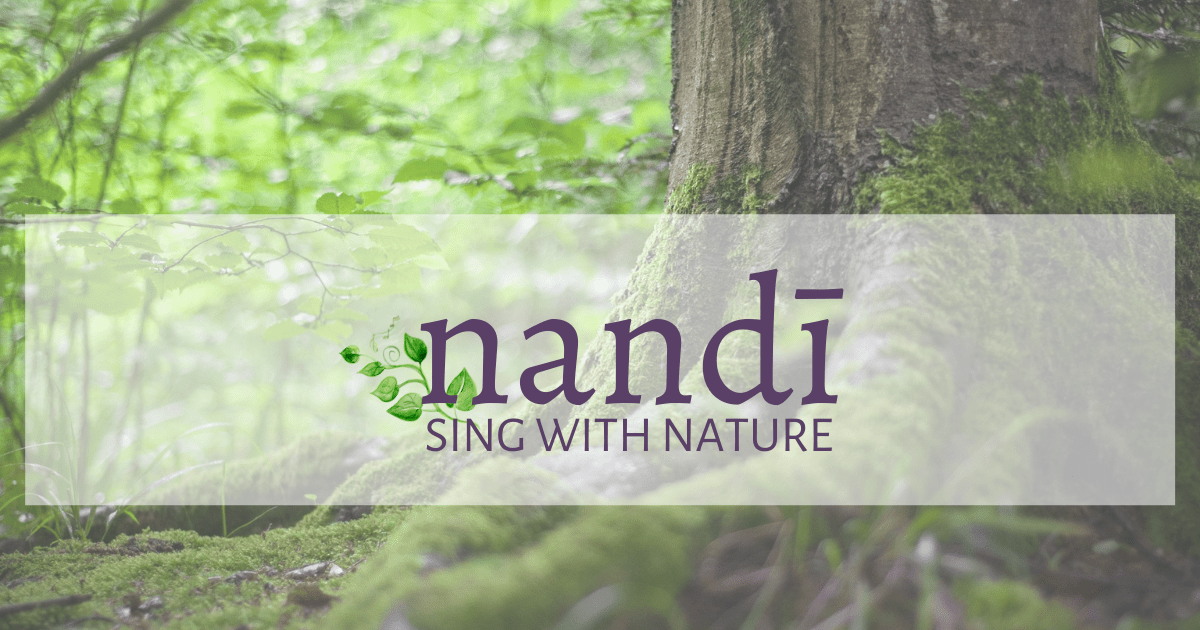 nandi_social_headers