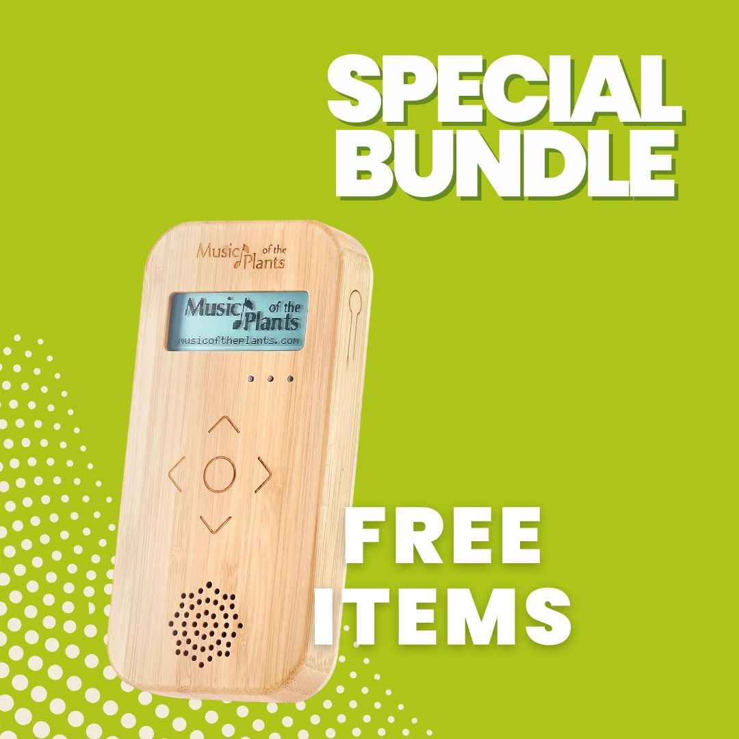 Bamboo-beatsofnatureoffer