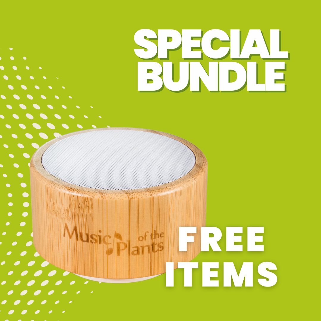 Gingko-beatsofnatureoffer